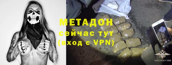 твердый Аркадак