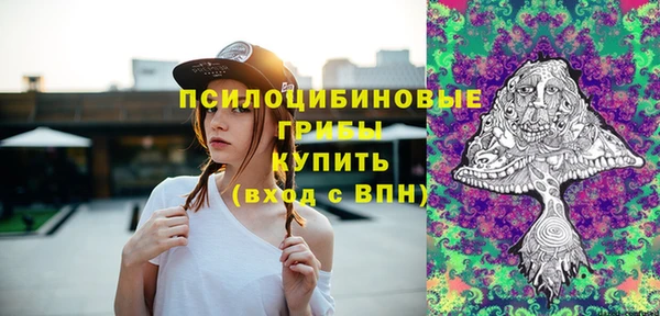 шишки Армянск