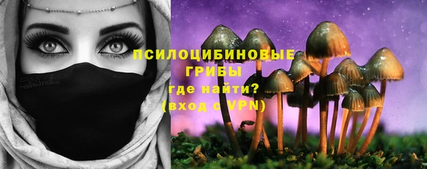 шишки Армянск