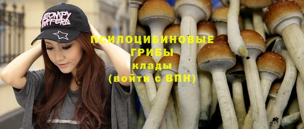прущая мука Арсеньев