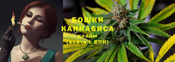 шишки Армянск