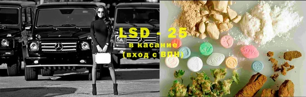 твердый Аркадак